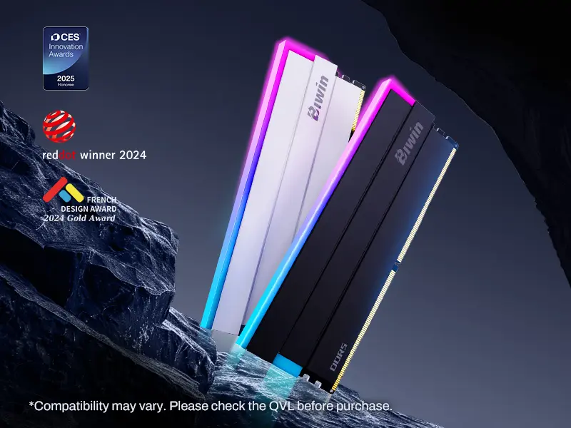 مراجعة كيت Biwin Black Opal DW100 RGB DDR5-6000: أداء EXPO قوي بسعر مبالغ فيه