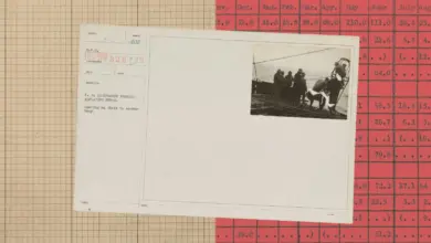 بطاقة أرشيفية على خلفية جداول قديمة من صورة إعلان Anthropic Cyber Mission