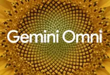 شعار Gemini Omni فوق زهرة عباد الشمس