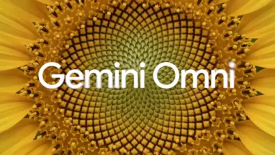 شعار Gemini Omni فوق زهرة عباد الشمس