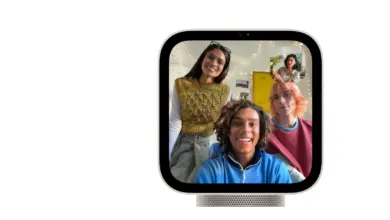 شاشة Apple HomeView المنزلية تعرض مكالمة FaceTime