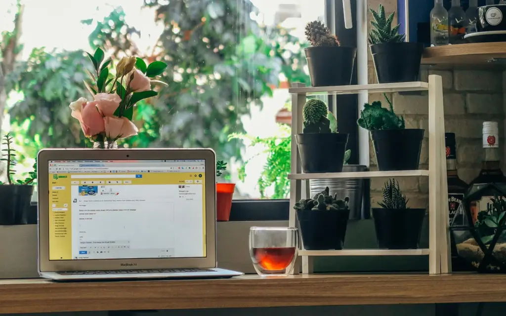 لابتوب مفتوح قرب نافذة ونباتات