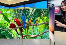 تلفزيون LG OLED رقيق يعرض صورة ببغاوات ملونة