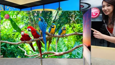 تلفزيون LG OLED رقيق يعرض صورة ببغاوات ملونة