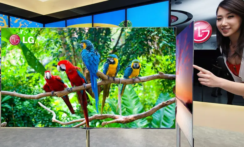 تلفزيون LG OLED رقيق يعرض صورة ببغاوات ملونة