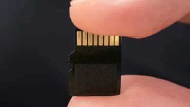 بطاقة microSD بين إصبعين