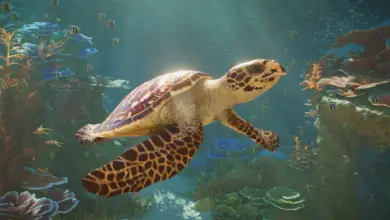 سلحفاة بحرية تسبح قرب الشعاب في لعبة Planet Zoo 2