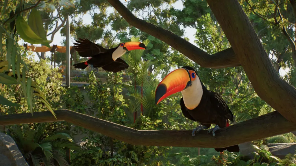 طائرا توكان على غصن في لعبة Planet Zoo 2