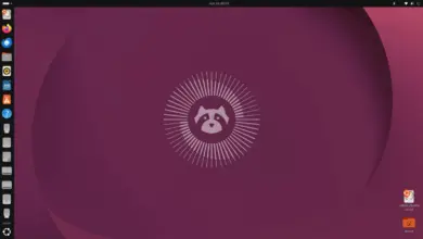 سطح مكتب Ubuntu الافتراضي بخلفية الشعار الجديد
