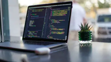 جهاز محمول مفتوح على محرر أكواد بجانب نبتة على مكتب
