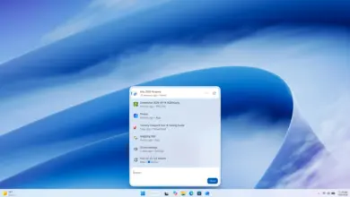 سطح مكتب Windows 11 مع نافذة البحث الجديدة