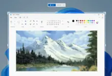 شريط تسجيل أداة القصاصة فوق نافذة Paint في ويندوز 11